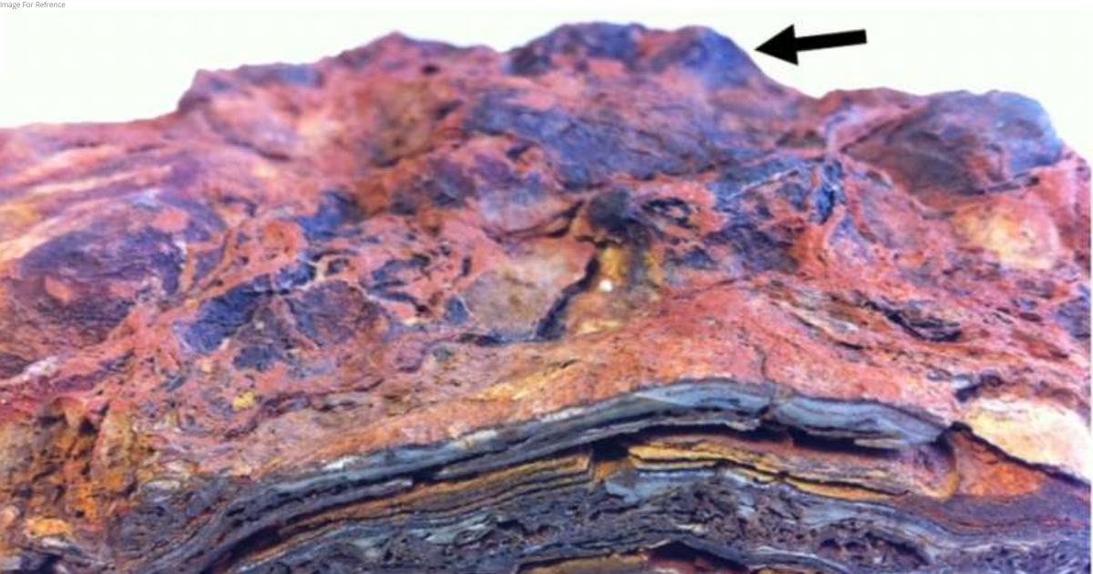 Earth's oldest stromatolites and the search for life on Mars
